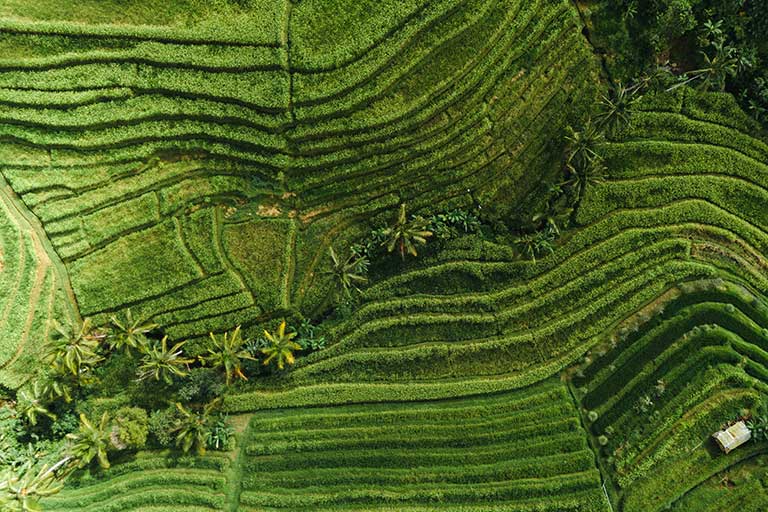 Jasa Video Drone Event